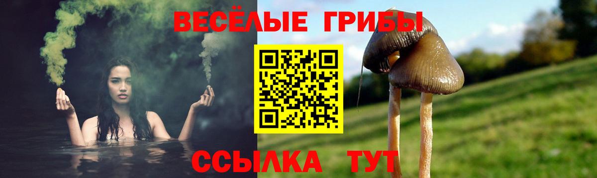 Псилоцибиновые грибы MAGIC MUSHROOMS  Вход с VPN  Псилоцибиновые грибы GOLDEN TEACHER  Светлоград 